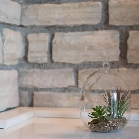 Lavanda House With بوجي
